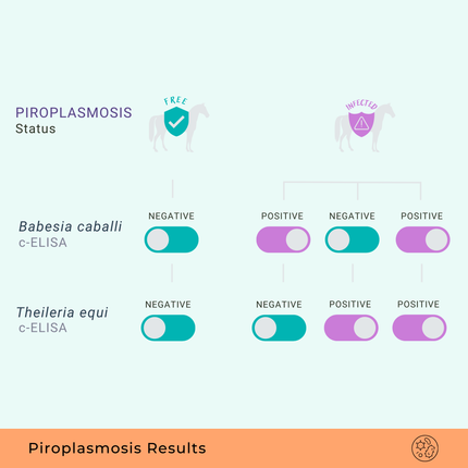 EP Equine Piroplasmosis Panel, cELISA