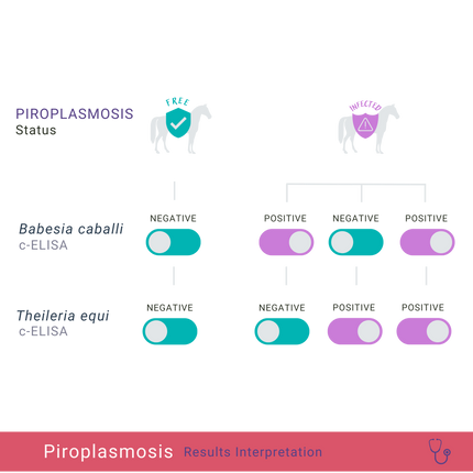 Equine Piroplasmosis status
