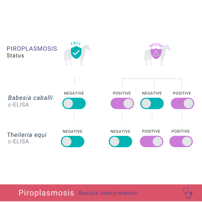 Piroplasmosi equina, c-ELISA