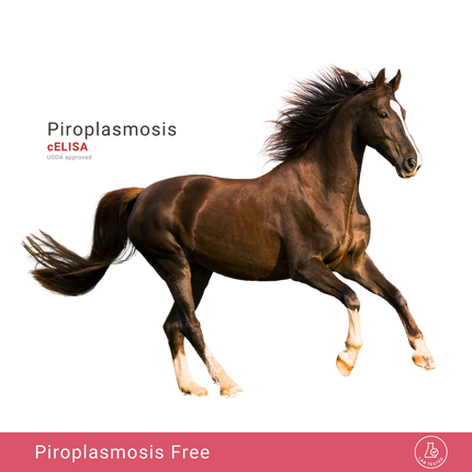 Equine Piroplasmosis cELISA