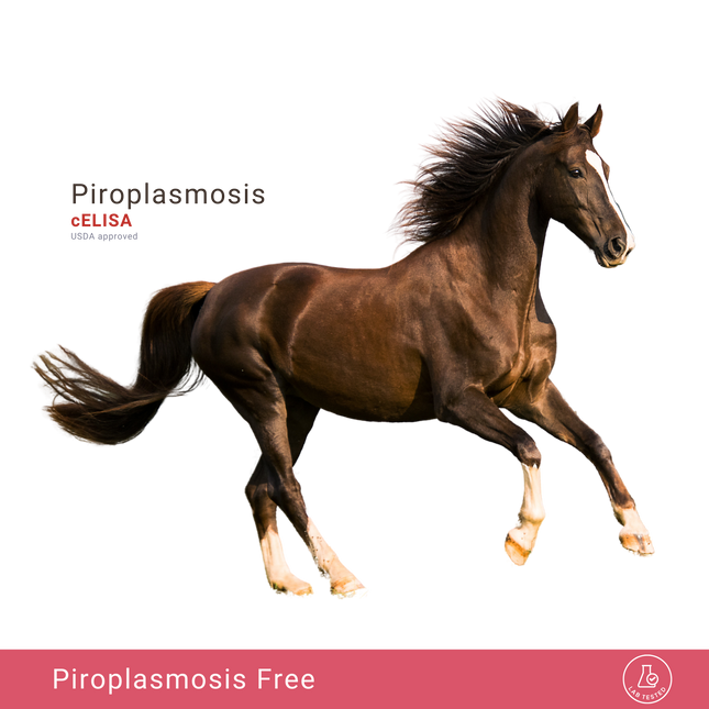 Piroplasmosi equina, c-ELISA