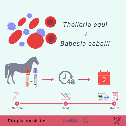 Pack de piroplasmoses équines : cELISA & qPCR