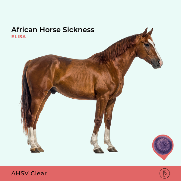 AHS African Horse Sickness, ELISA