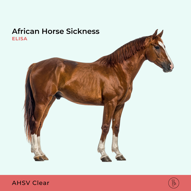 AHS African Horse Sickness, ELISA