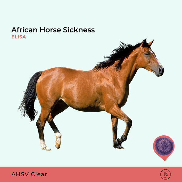 African Horse Sickness, ELISA