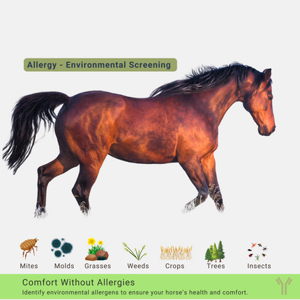 ALLERCEPT® Allergy Test - 24 allergeni del cavallo