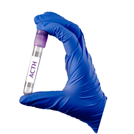 Adrenocorticotropic hormone - ACTH - Equigerminal