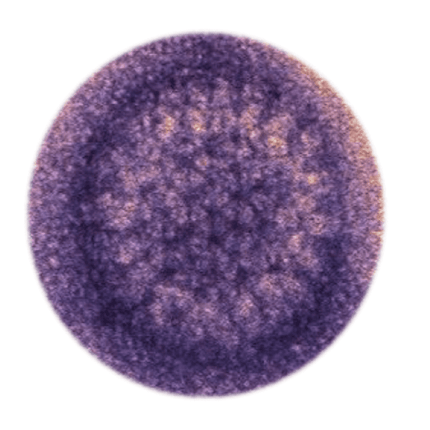African Horse Sickness, ELISA - Equigerminal