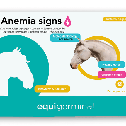 Anemia - Pathogen screening panel - Equigerminal