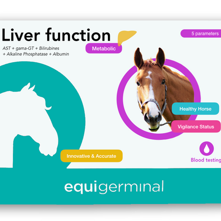 Liver function - Equigerminal