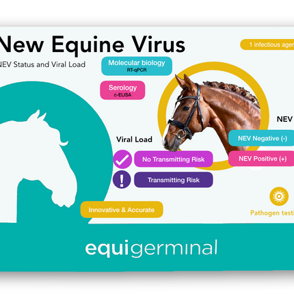 New Equine Virus (NEV) Status & Viral load - Equigerminal