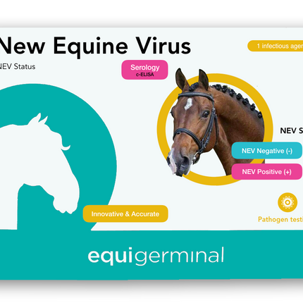 New Equine Virus (NEV) Viral Load test - Equigerminal