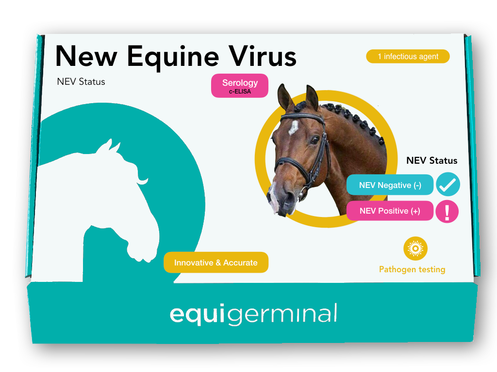 Nev Pask New Equine Virus (NEV) Viral Load
