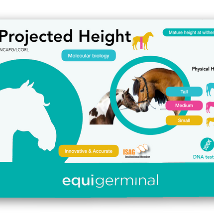 Projected Height test - LCORL/NCAPG - Equigerminal