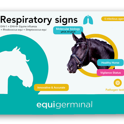 Respiratory signs profile - Equigerminal