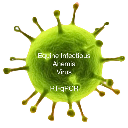 Equine Infectious Anemia, RT-qPCR - Equigerminal