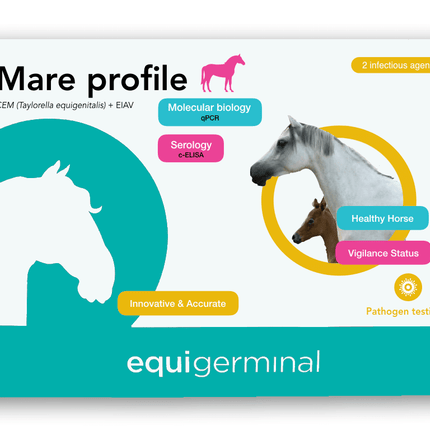 Breeding mare profile - Equigerminal