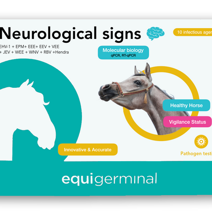 Neurological signs profile - Equigerminal