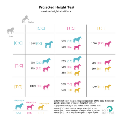 Projected Height test - LCORL/NCAPG - Equigerminal