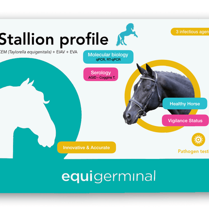 Stallion Profile - Equigerminal
